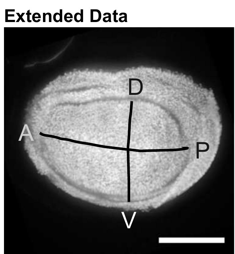 figure_006.jpg