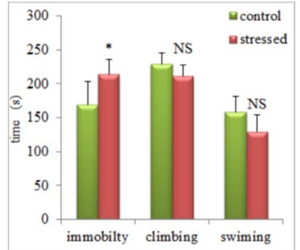 (PDF) Effects of Chronic Prenatal Restraint Stress on Anxiety in Post ...