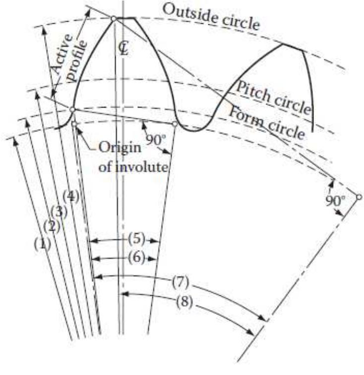 Involution Curve Active profile of an involute curve ‘to avoid violating the