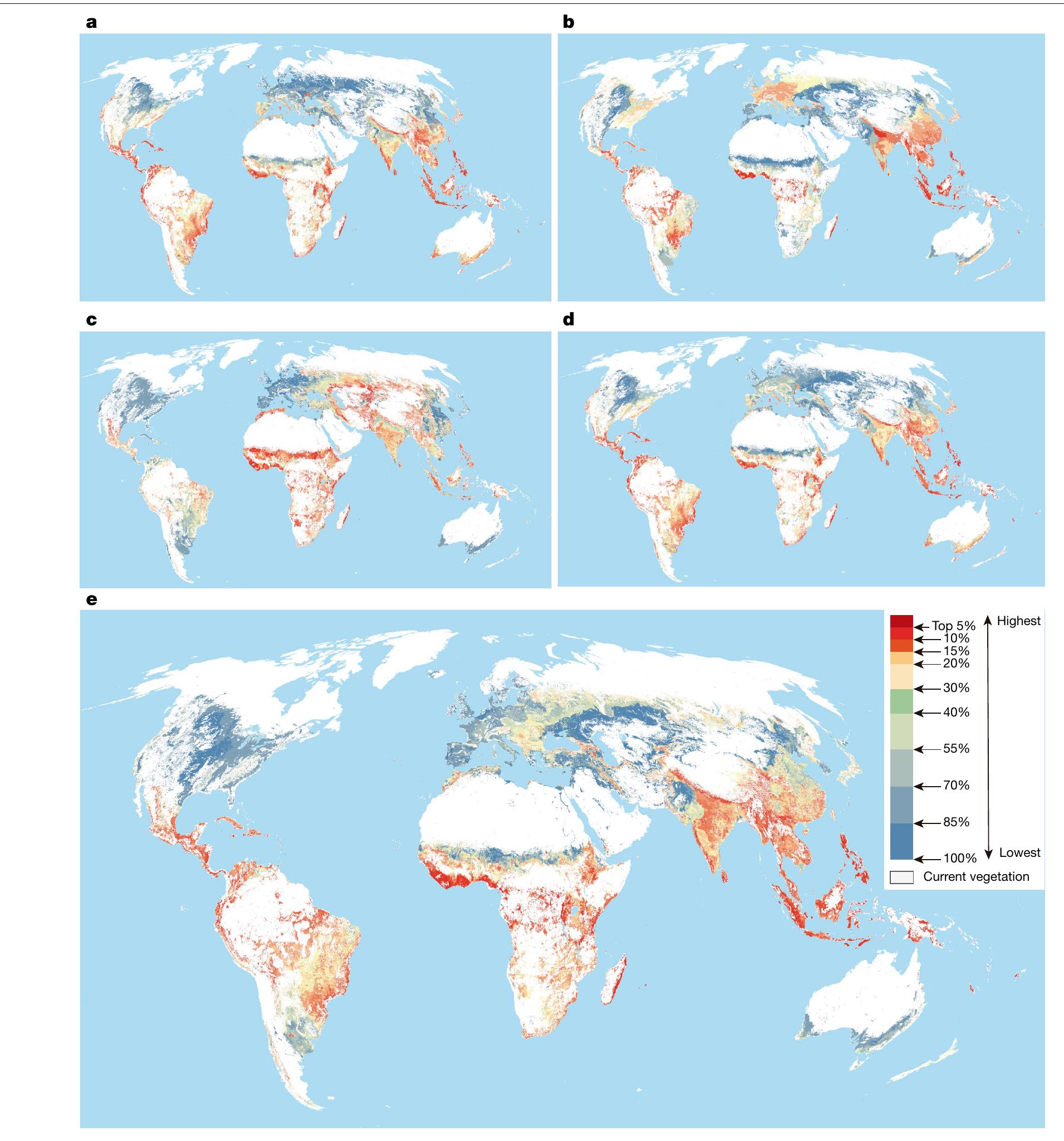 (PDF) Global priority areas for ecosystem restoration