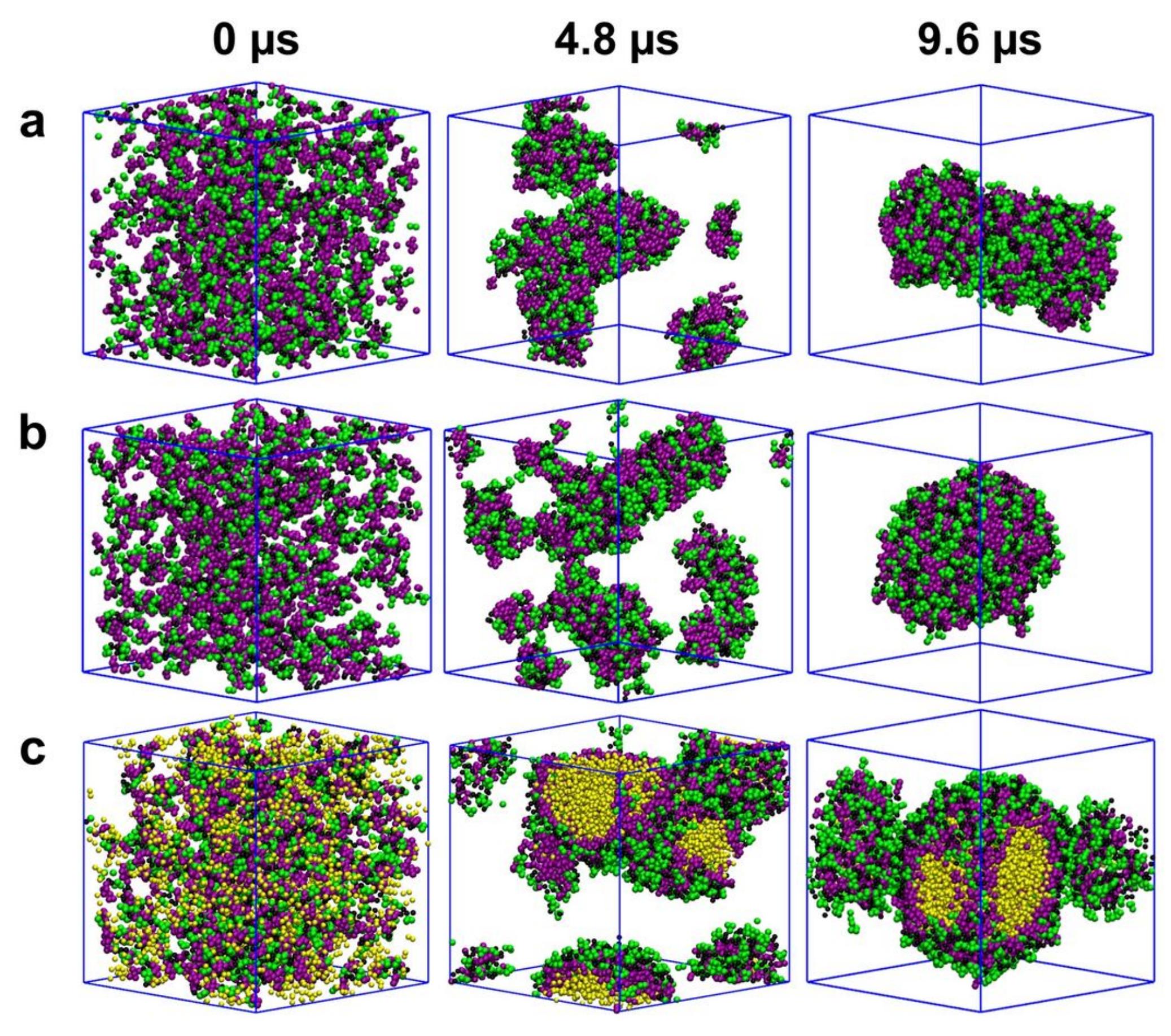 (PDF) A Multifunctional Drug Delivery System Based on Switchable ...