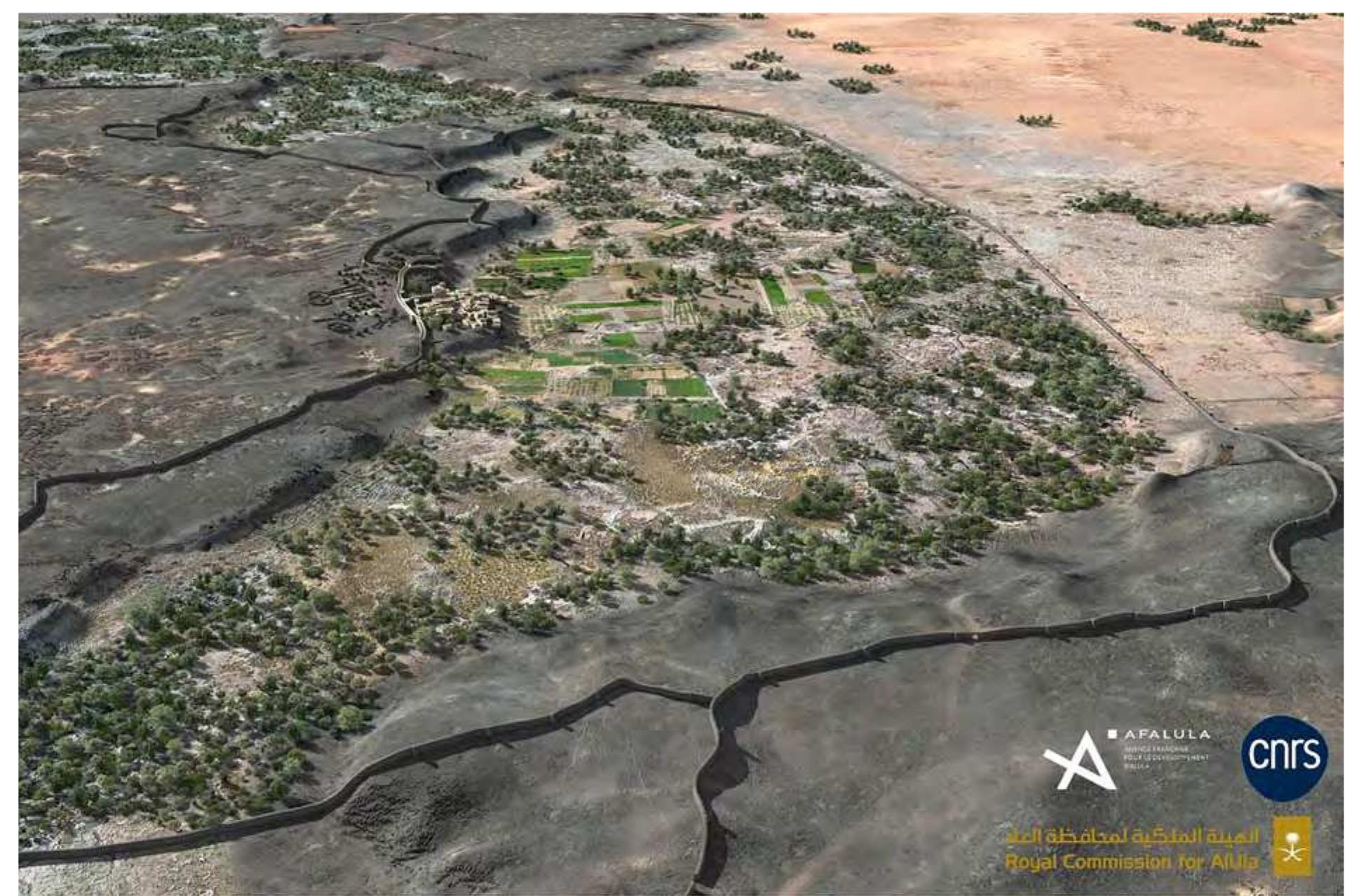 Fig. 12. Reconstruction view of the northern part of walled oasis of Khaybar around 2000 BCE. Pending the results of definitive archaeobotanical analyses, the plant cover at this stage is based on the identified species listed in Table 1 (acacia, tamarisk, amaranth, cereals), © Khaybar LDAP, M. Bussy & G. Charloux. 