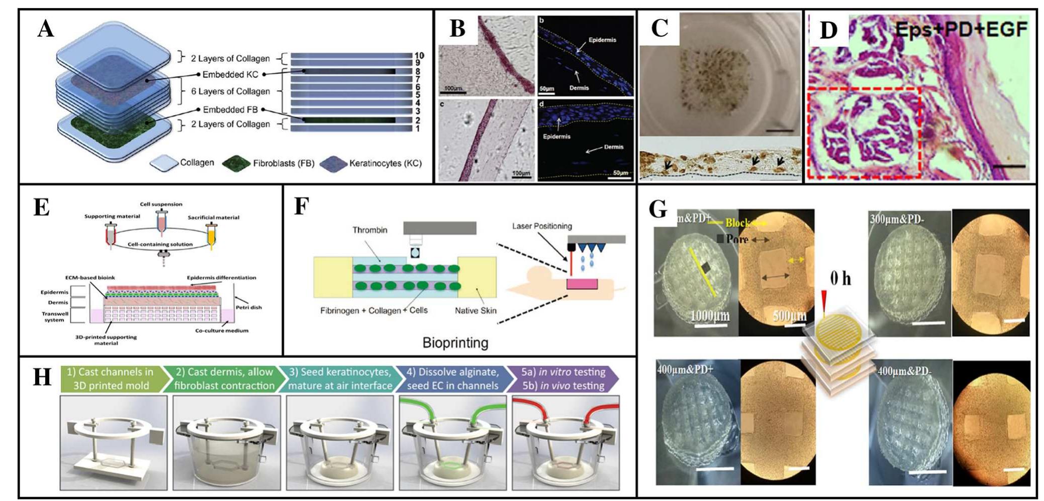 [PDF] 3D bioprinting: an emerging technology full of opportunities and ...