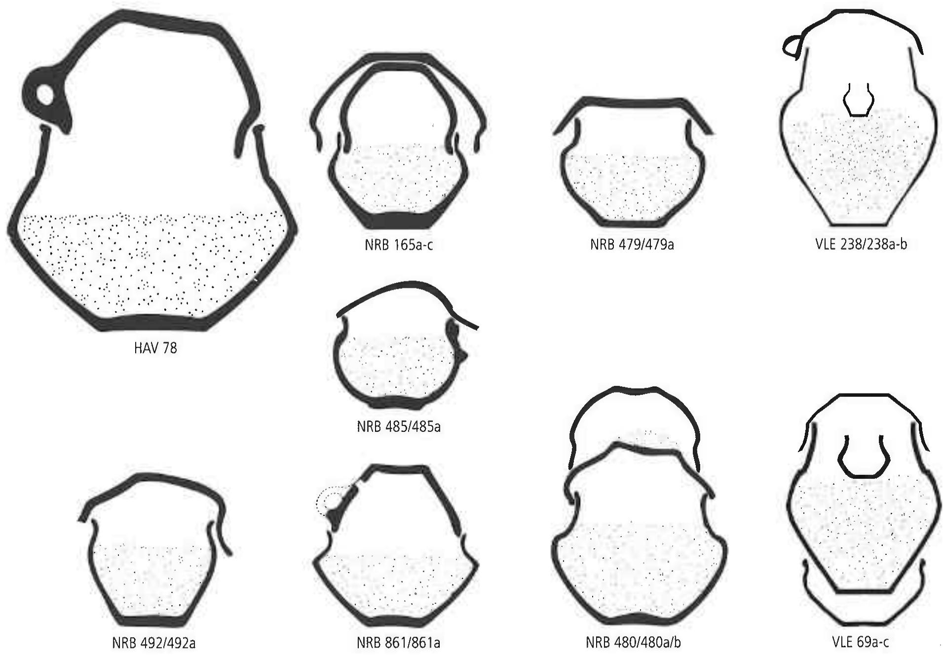Fig. 2. Example of urnfield interments with extra pots/pot fragments used as lids from the Noordbarge (NRB), Havelte (HAV, after Koor 1979, 52 fig. 42; 88 fig. 83) and Vledder (VLE; after Van G1FFEN 1938, Abb. 24) urnfields (graphics S. Arnoldussen, using originals taken from Koor 1979 and VAN G1FFEN 1938).  Despite the general correspondence between cremated human remains and pottery vessels (urns) in urnfields, often additional ceramic vessels are found during urnfield excavations.” In some cases, these concern double interments or urns added secondarily to older monuments (e.g. WATERBOLK 1957, 56-57; Koot 1979, 94 fig. 89), and in other cases other pots or pot fragments functioned as lids (Fig. 2). In this contribution, however, we will focus on the — frequently smaller — pots that were placed in the cemeteries known colloquially as ‘accessory vessels’ (Dutch: bijpotjes). Whilst a minor- ity of smaller (see below for the ambiguity of size classification, esp. Fig. 3) pots were used as urns proper (i.e. to hold human remains; e.g. ZWE 8: Wittems 1935, 125 fig. 25), the majority of these were found empty. 