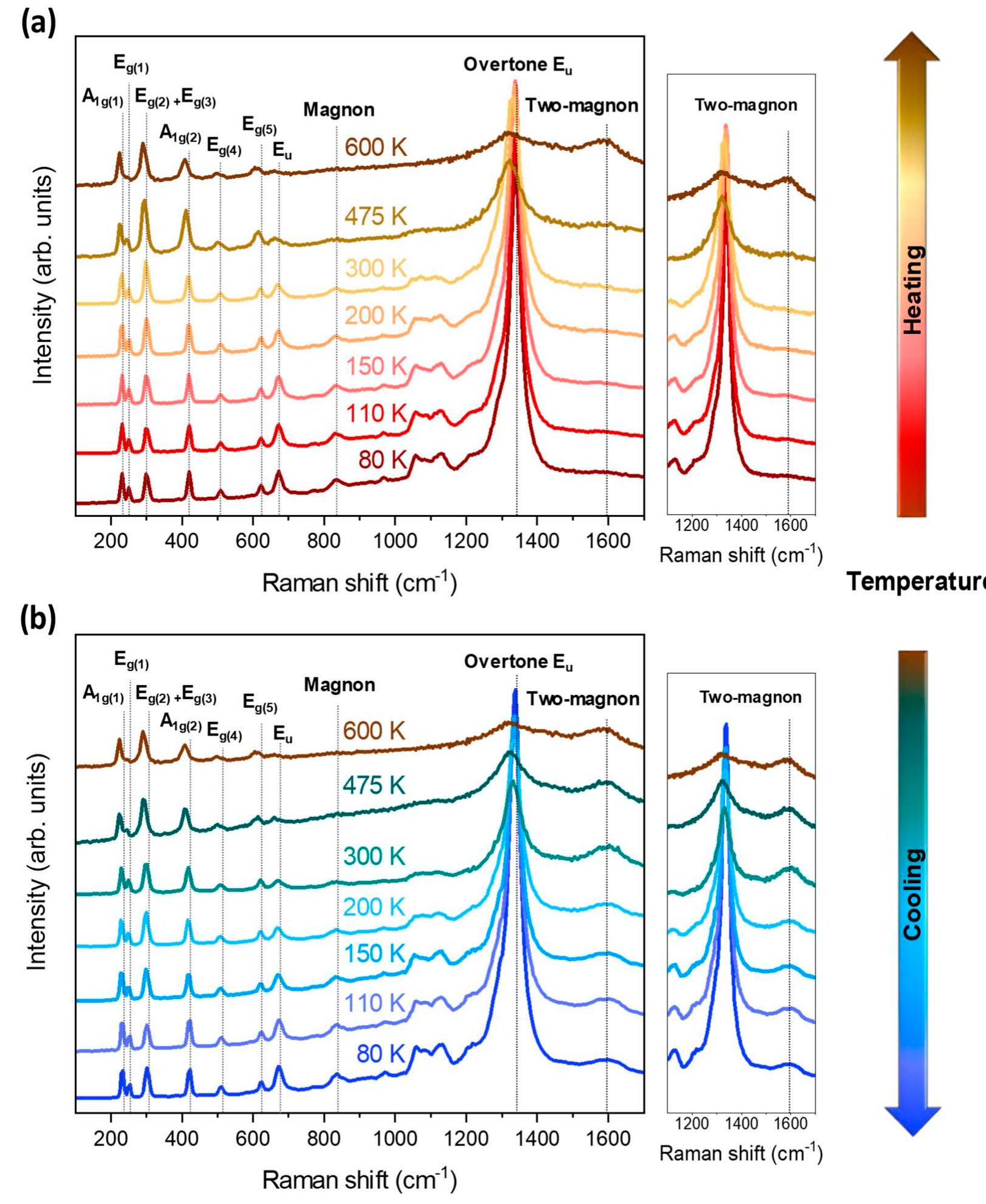 (PDF) Large Two-Magnon Raman Hysteresis Observed in a Magnetically ...