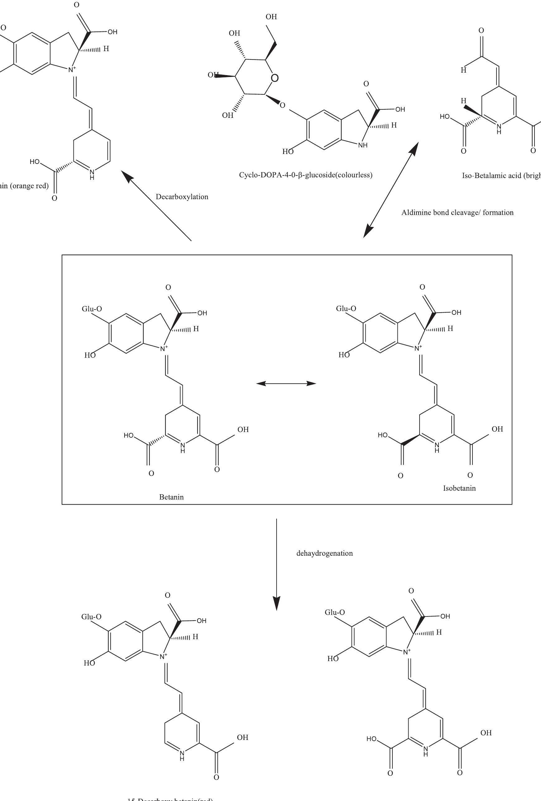 Figure 1 - from A critical review on the stability of