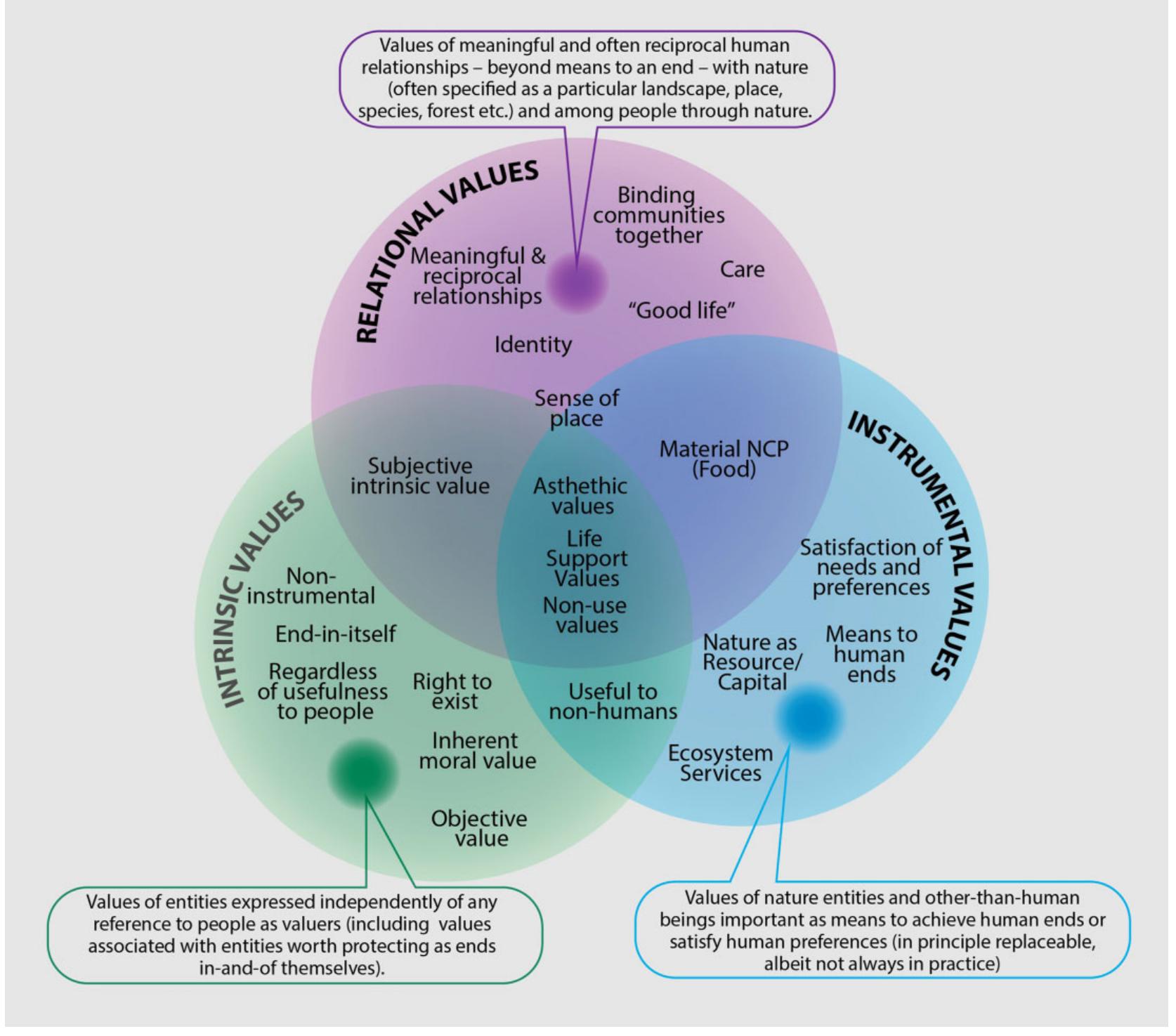 Figure 5. The categories of intrinsic, instrumental, and relational values may not adequately explain all values, and all three are underpinned by life-support values. The different core meanings are represented as layers or dimensions of each value type to illustrate the different ways each value type is represented in the literature and emphasize that the core meanings are not mutually exclusive categories but overlapping aspects of each value concept. Different types of specific values span value types; for instance, aesthetic values are described in the literature using all three specific value  types. 