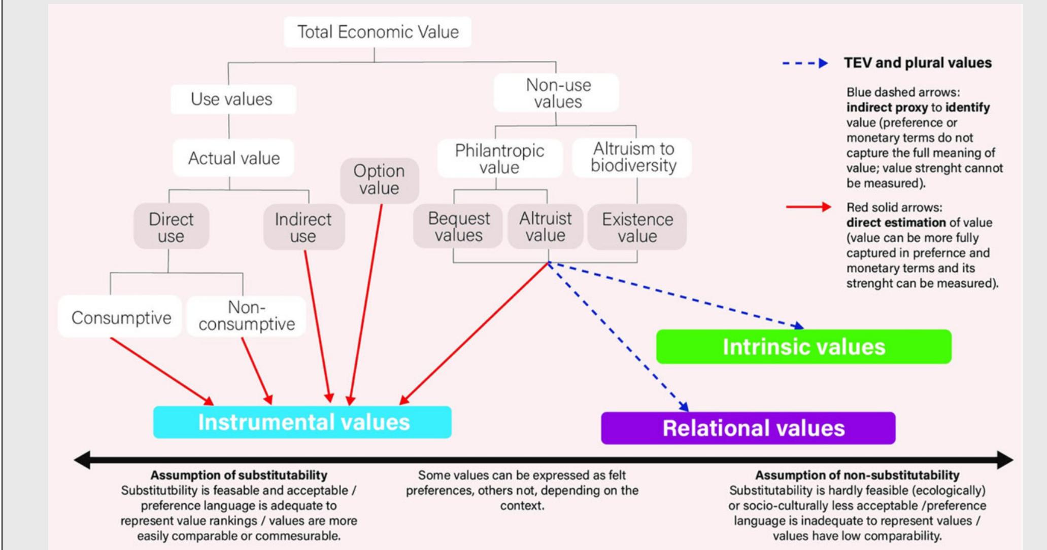 Figure 6. The total economic value classification framework encompasses multiple environmental value types. The figure presents a spectrurr between stronger and weaker assumptions of substitutability between the objects of value. Source: The figure was adapted from the values assessment’s chapter 2 (Anderson et al. 2022).  Total economic value (TEV) is based on a utilitarian, preference-based understanding of value that represents nonuse values 1 terms of the satisfaction generated for an individual by knowing that others will have access to nature’s benefits, be it curren (altruist value) or future generations (bequest value), or by knowing that something exists, even if there is no direct access to o direct enjoyment of it (existence value; Hansjiirgens 2014, Anderson et al. 2022). The focus on preferences is mostly anthropocen tric and instrumental, where value is assigned to biodiversity or ecosystem services “to the extent that these fulfill needs or confe satisfaction to humans either directly or indirectly” (TEEB 2010, p. 187). This implies that existence, bequest, and altruistic value are represented according to an instrumental value justification that allows for trade-offs, commensurability, and potential substi tutability across the objects of value (Kenter et al. 2015, Anderson et al. 2022). As acknowledged by TEEB itself, nonuse values presen “greater challenges for valuation than do use values since nonuse values are related to moral, religious or aesthetic properties, fo which markets usually do not exist” (TEEB 2010, p. 196). 