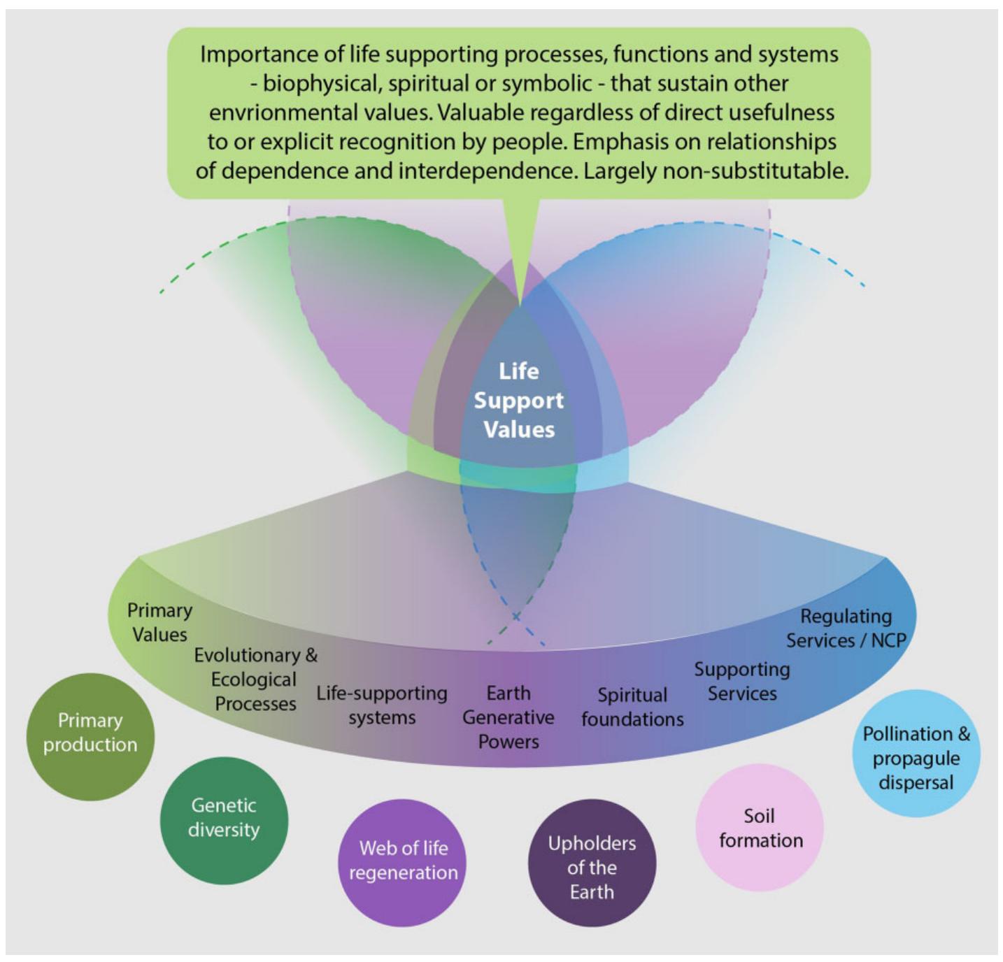 Figure 7. Fundamental values of nature. Those more associated with intrinsic values to the left, relational values in the center and instrumental values to the right. 