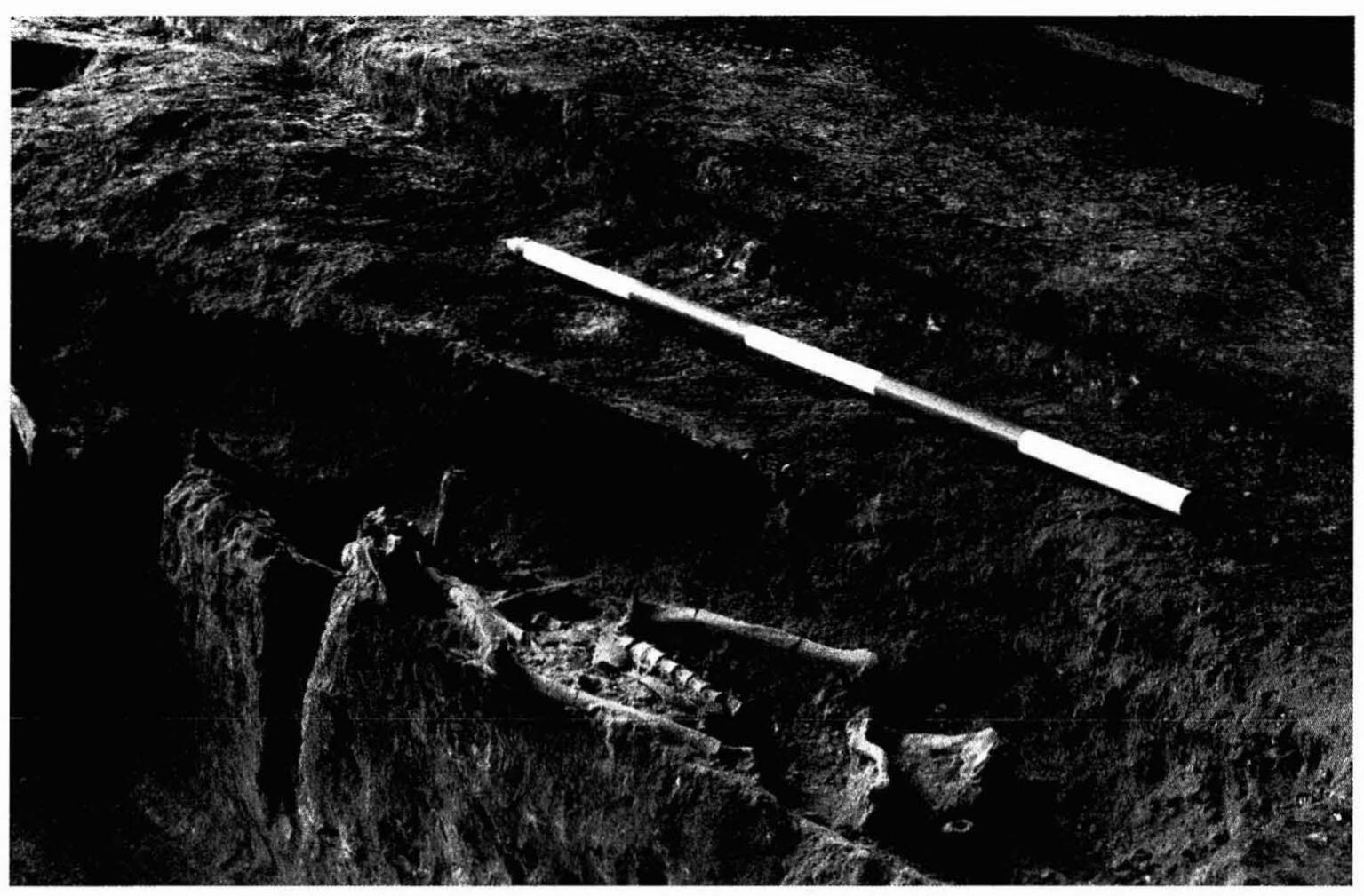 Neolithic Inhumation The west mouth of niah great cave: plan of the enclosed