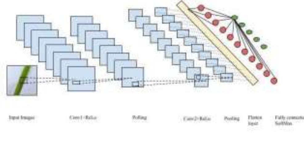 Figure 4 - from An Automated Convolutional Neural Network