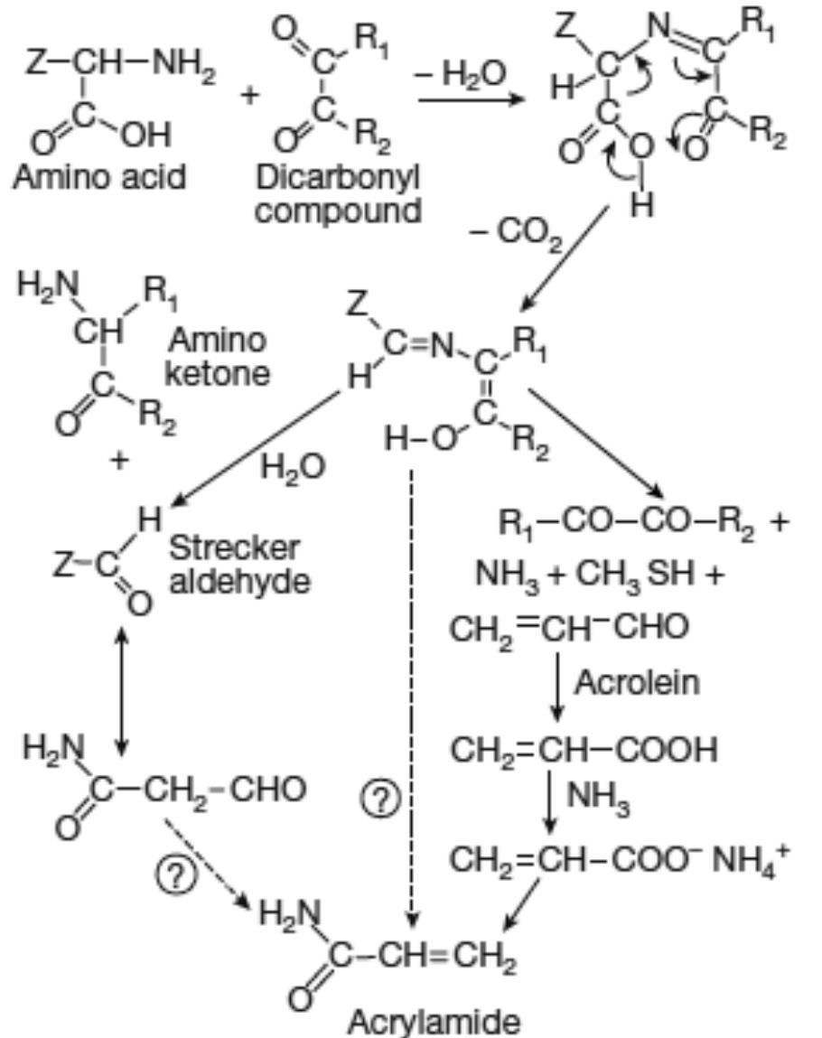 Figure 3.1. Pathway for the formation of acrylamide after the Strecker degradation of asparagine in the presence  degradation." The schematic representation of this mechanism is shown in Figure 3.1. 