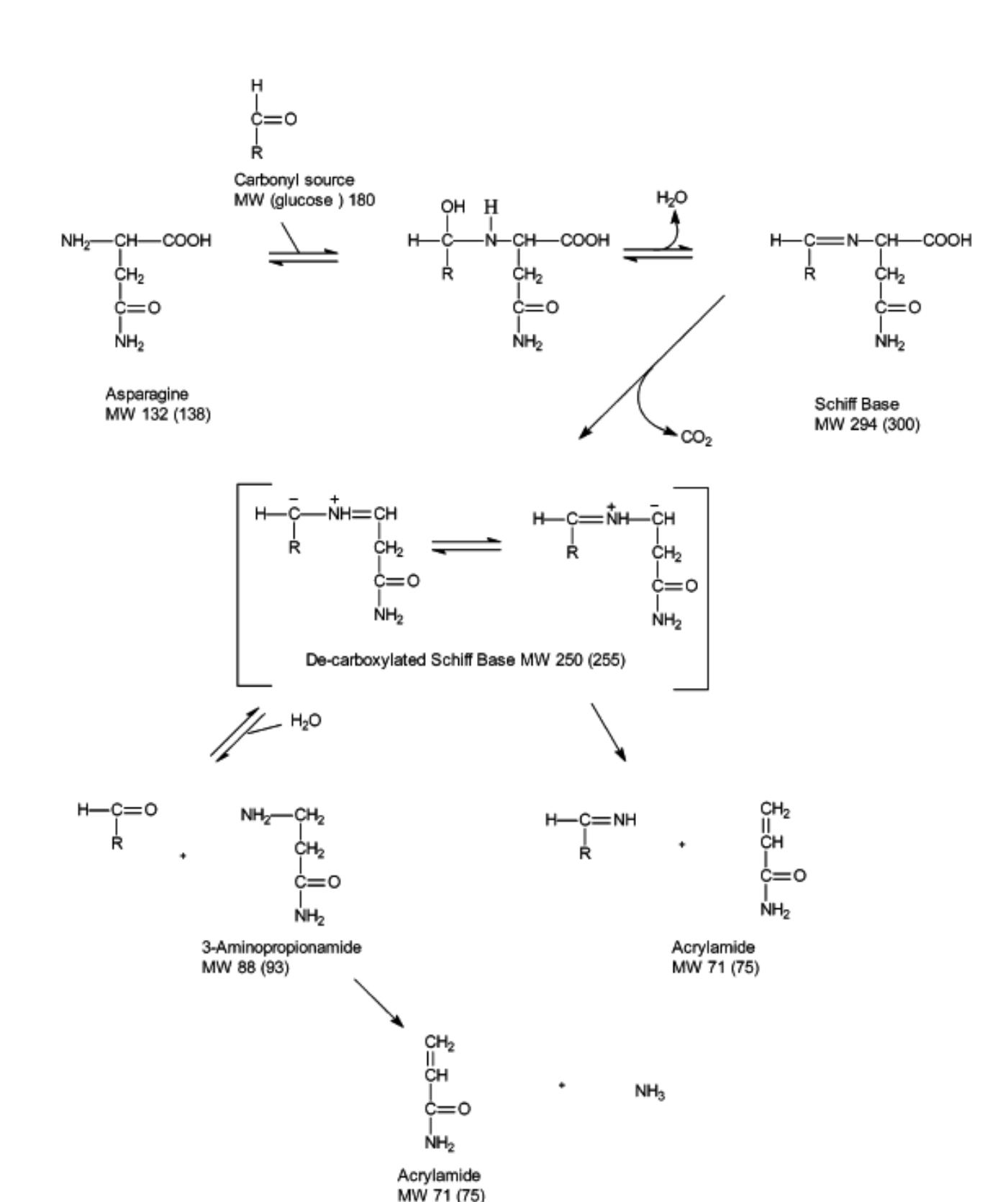 Figure 3.2. Mechanism of formation of acrylamide through decarboxylation of asparagine. (Reprinted from 