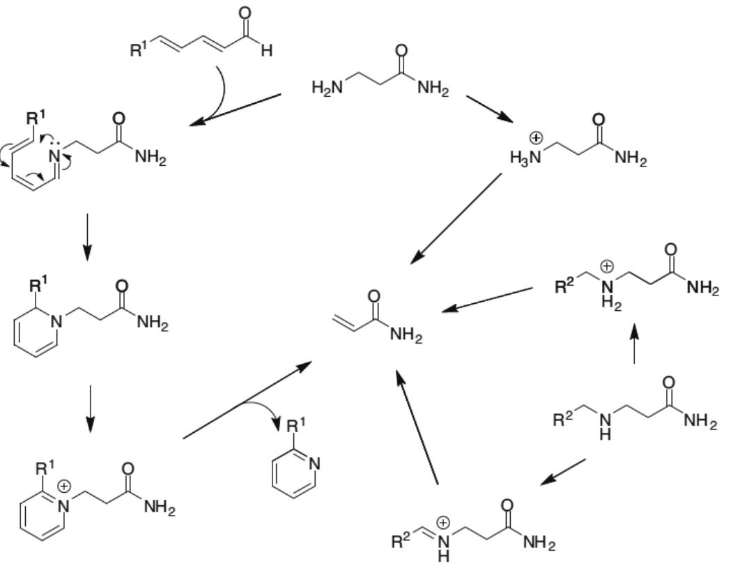 Figure 3.4. Possible pathways for the degradation of 3-aminopropionamide and 3-  float awww awrcrennewrseawa Dense Tien awrm eked! omer 