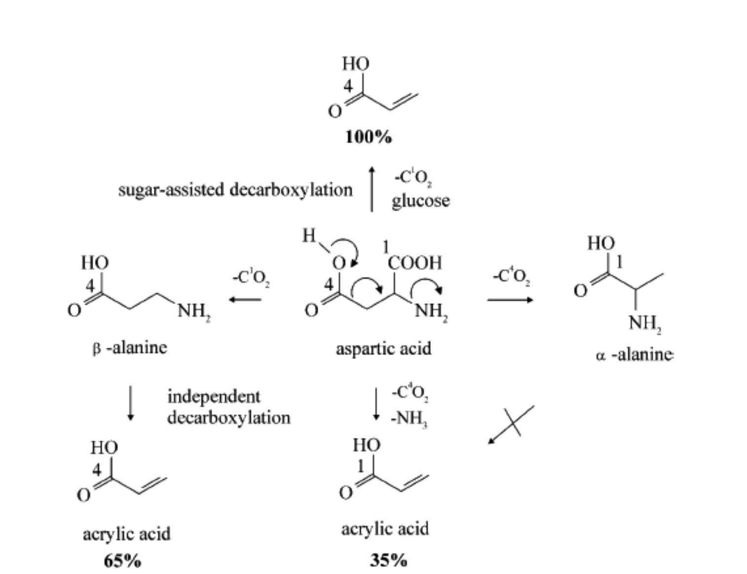 Figure 3.7. Decarboxylation pathways of aspartic acid. Reprinted from Yaylayan et al., 2005.  3.5. Formation of acrylamide from carnosine and creatine 