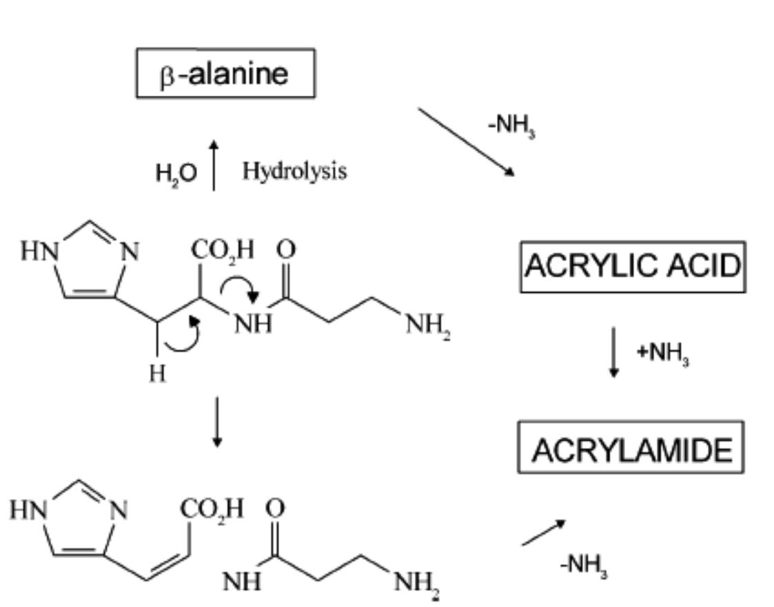 Figure 3.8. Different pathways of acrylamide formation from carnosine. Reprinted from Yaylayan et al., 2005. 