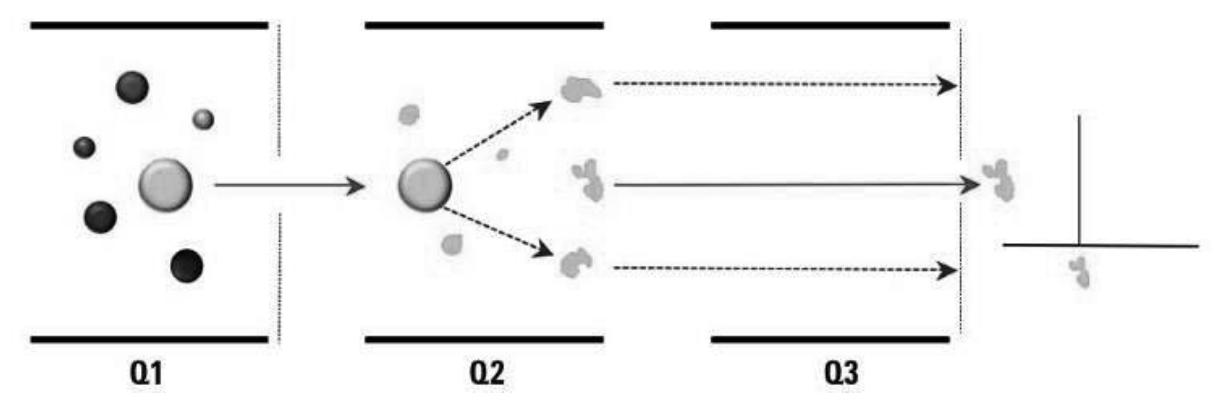 Figure 5.5. Multiple reactions occurring within the LC-MS/MS. (Adapted from: http:  (Q2 collision cell), and a specific product ion with a defined m/z is selected and transmitted in the third quadrupole (Q3). 