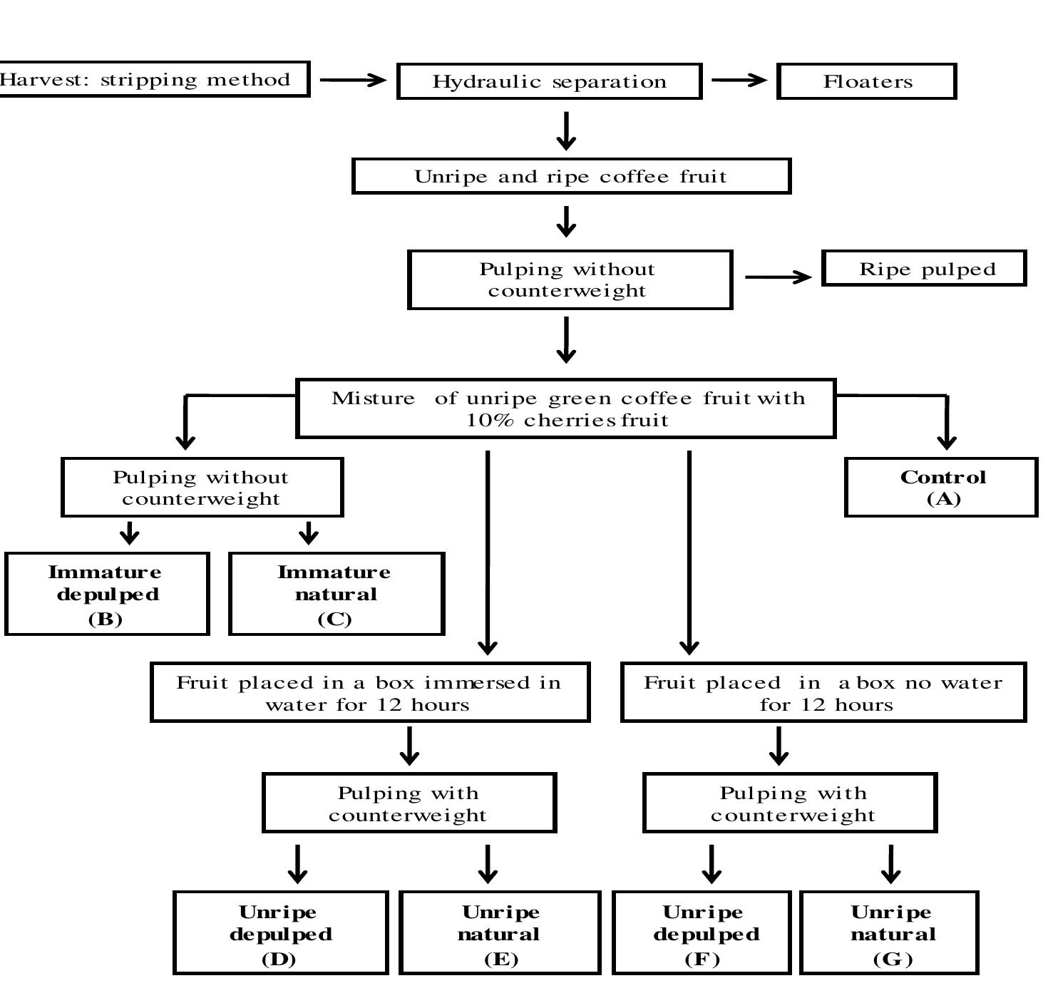Figure 1- Schematic representation of coffee bean processing 