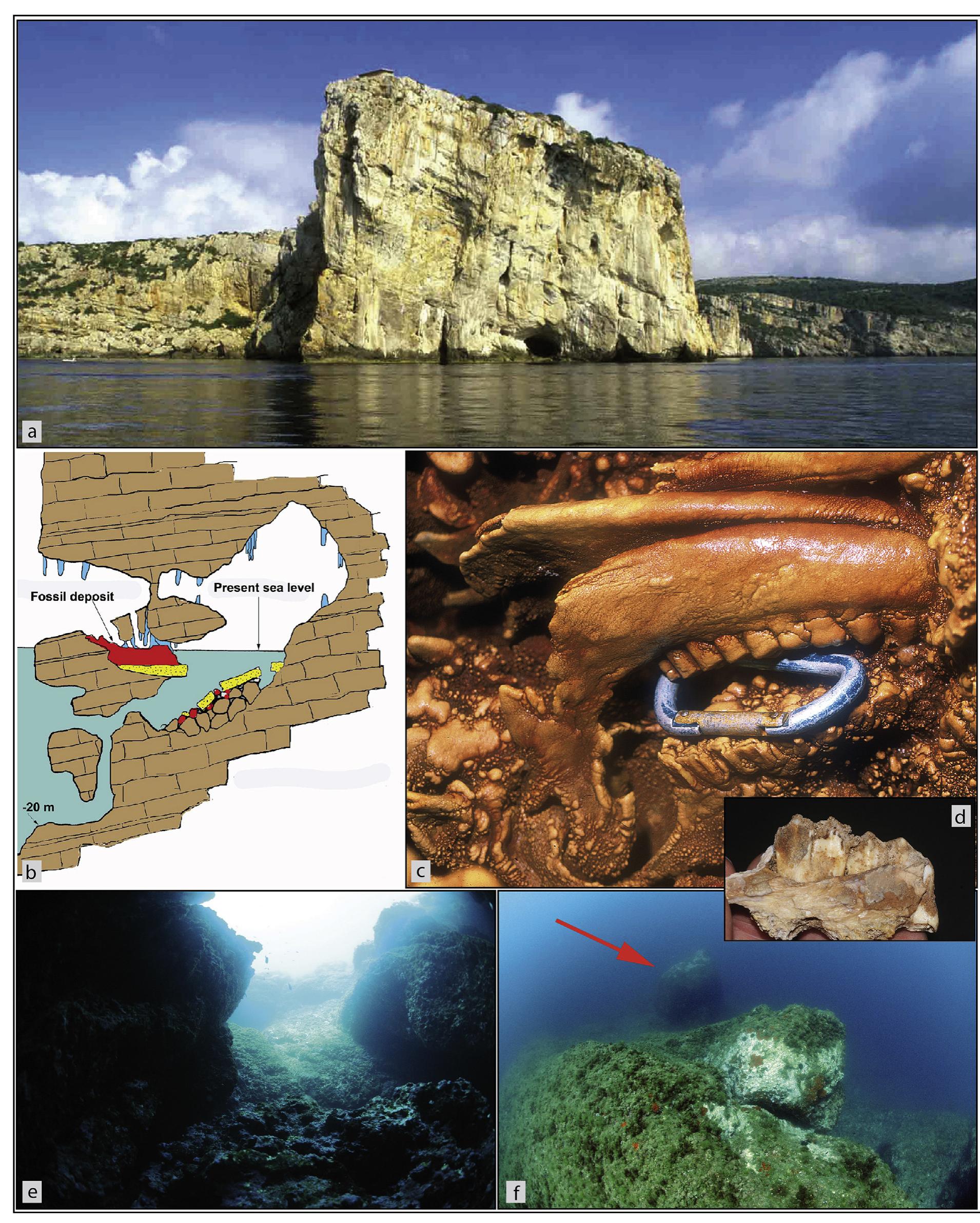 Left Promontory (PDF) The late Pleistocene to Holocene palaeogeographic evolution of ...