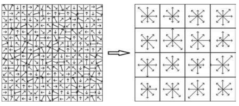 (PDF) A Comparison of SIFT and SURF