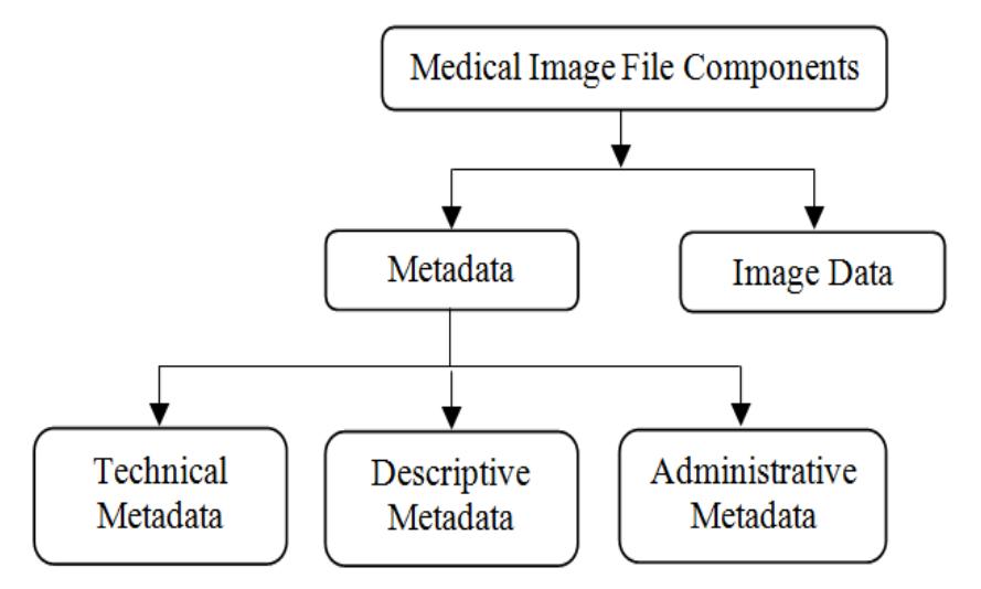 (PDF) An Medical Image File Formats and Digital Image Conversion