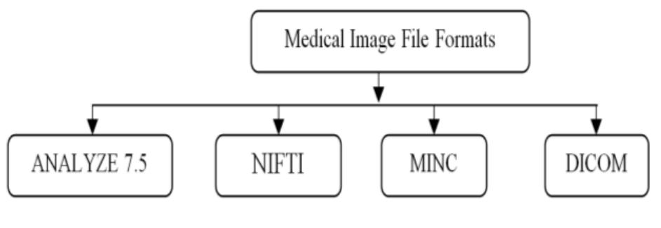 (PDF) An Medical Image File Formats and Digital Image Conversion