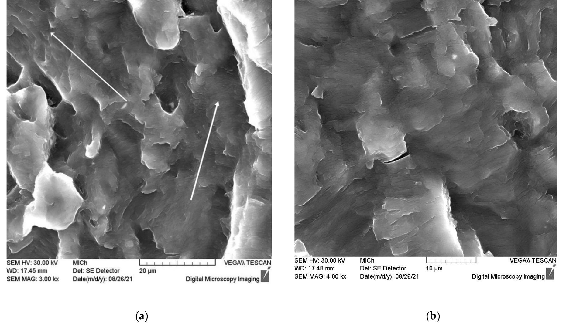 Scanning electron micrograph of the fracture surface taken