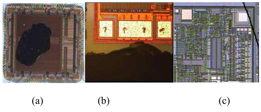 (PDF) Automatic Semiconductor Wafer Image Segmentation for Defect ...