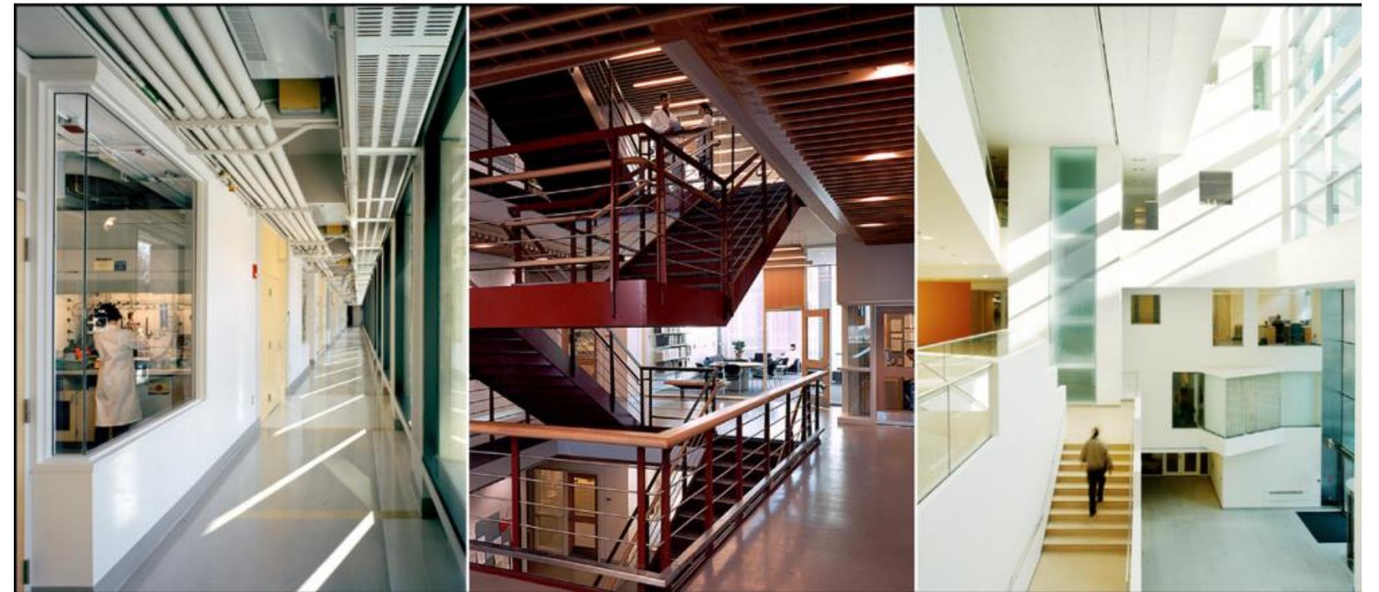 (PDF) Bamboo and Rattan Research and Training Center