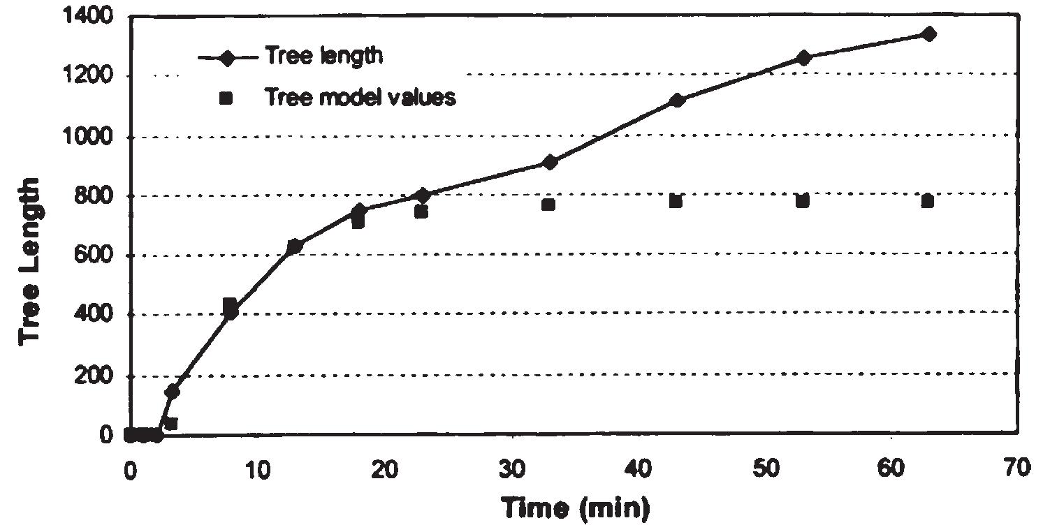 Tree Length Method Photos of tree propagation of branch-type tree at different