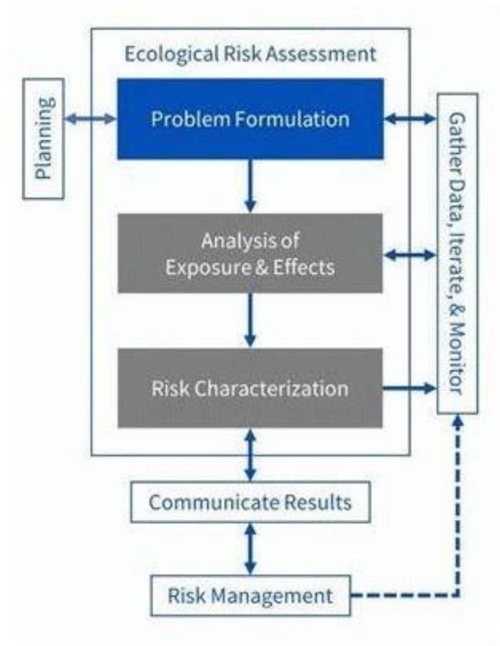 Problem Formulation Risk Assessment (PDF) Ecological risk assessment of pesticide use in rice farming in ...