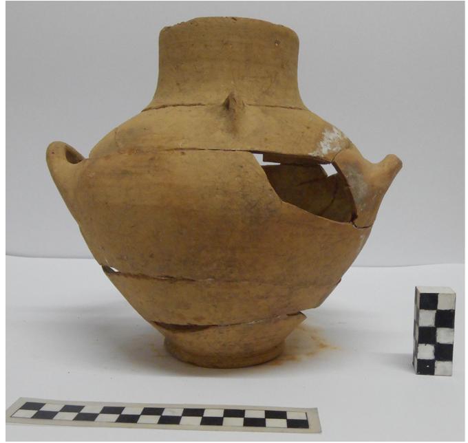 Fig. 96. 1113780/11192 collar-necked jar from Ag. Georgios of Persaina. 