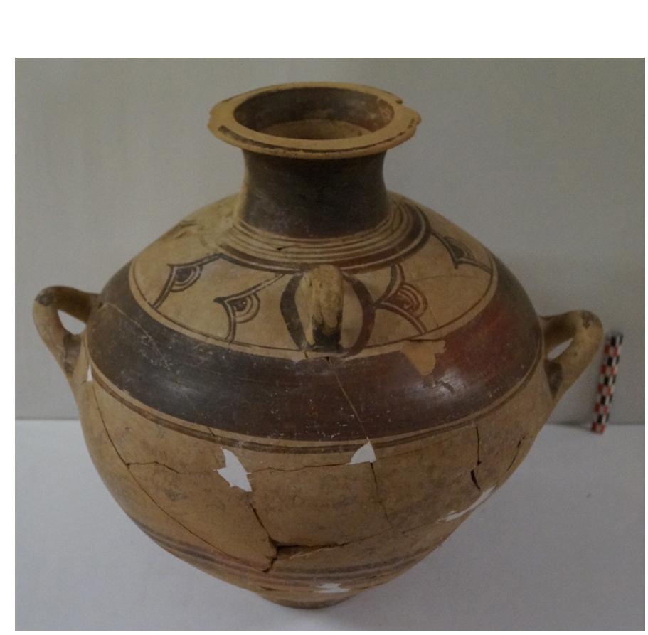 Fig. 119. 1114248/I1220 amphora FS58 from Ag. Georgios of Persaina. 