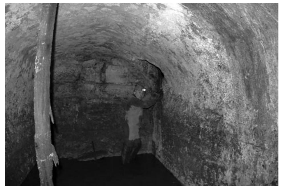 (PDF) Interpreting the subterranean building (the crypt) in the ...