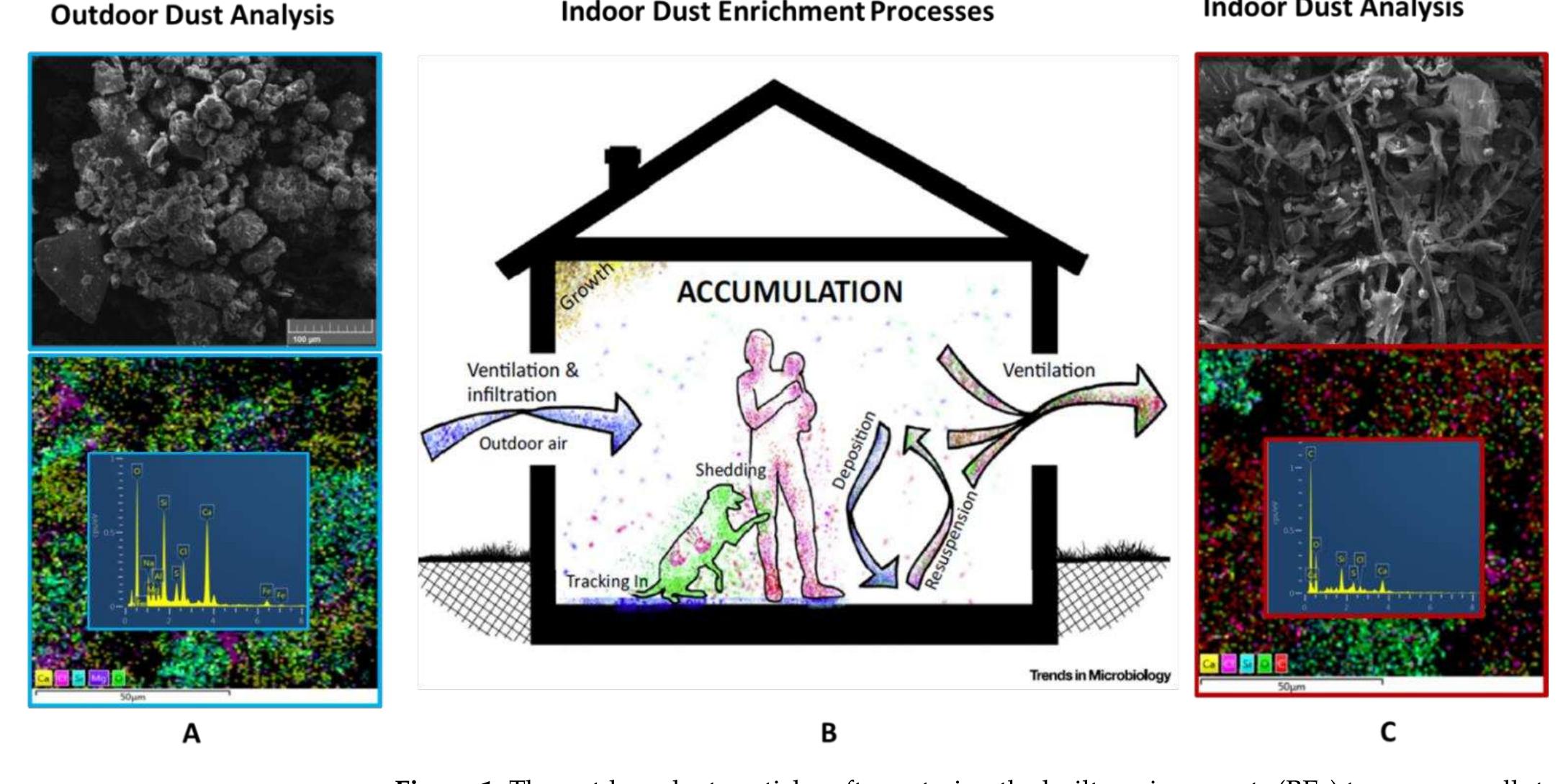 (PDF) A Methodological Review of Tools That Assess Dust Microbiomes ...