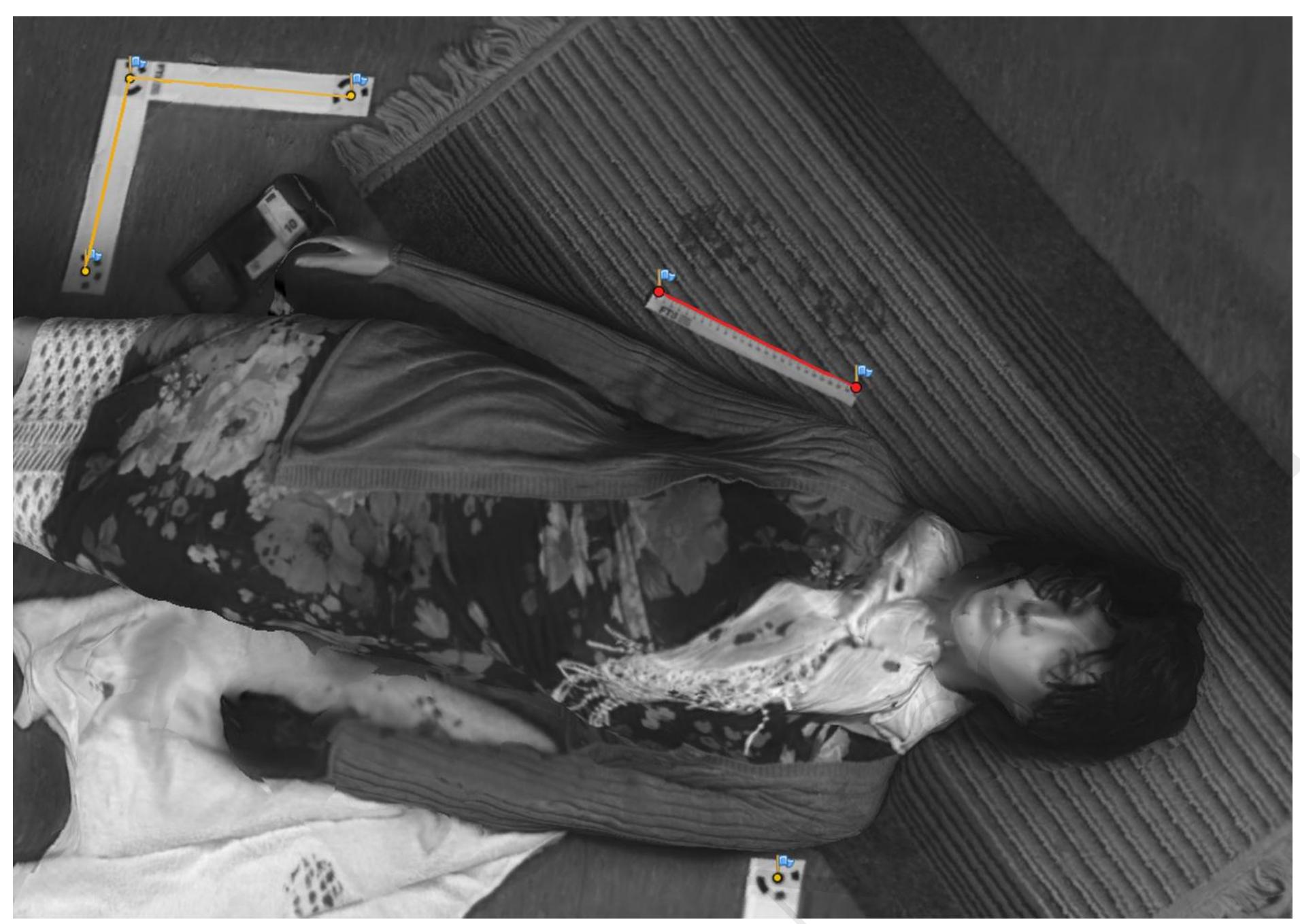 Infared Crime Scene (PDF) Photogrammetry using visible, infrared, hyperspectral and thermal ...