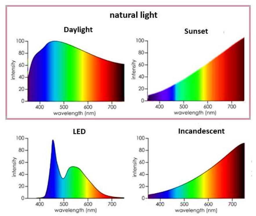 Figure 3 - from lighting principles in interior design of