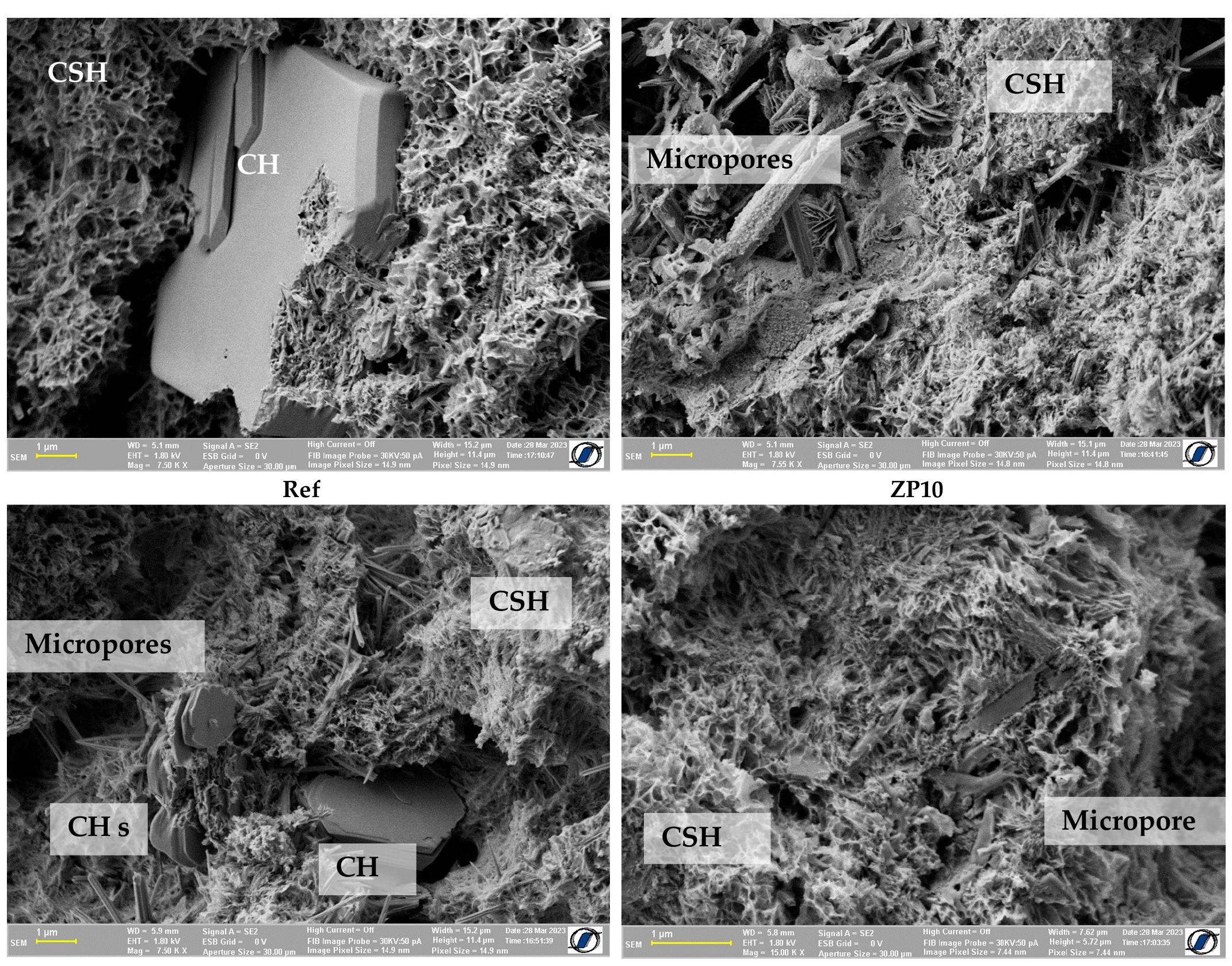 Sem micrographs of cement pastes at the age of 28 days.