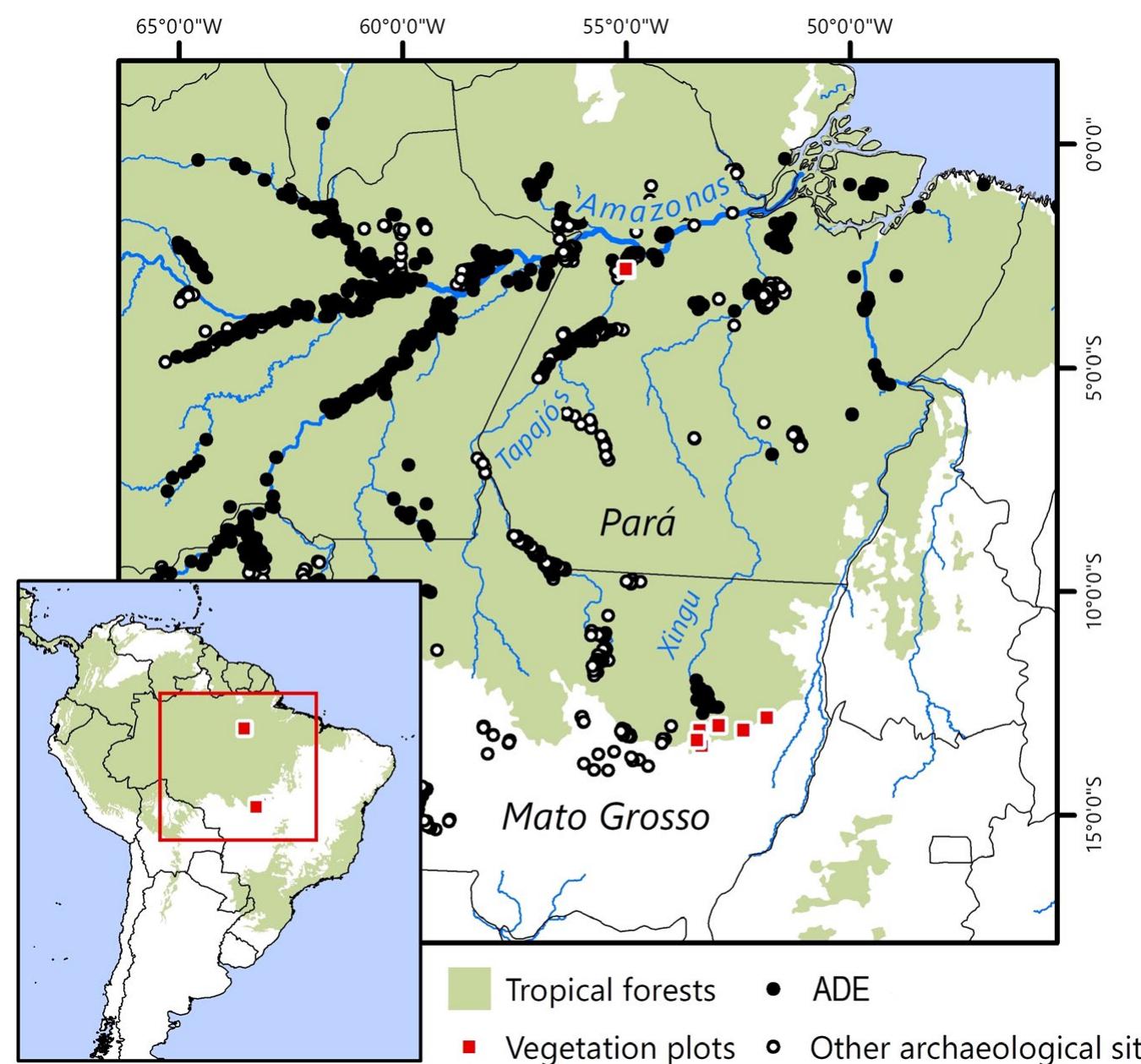 (PDF) Legacy of Amazonian Dark Earth soils on forest structure and ...