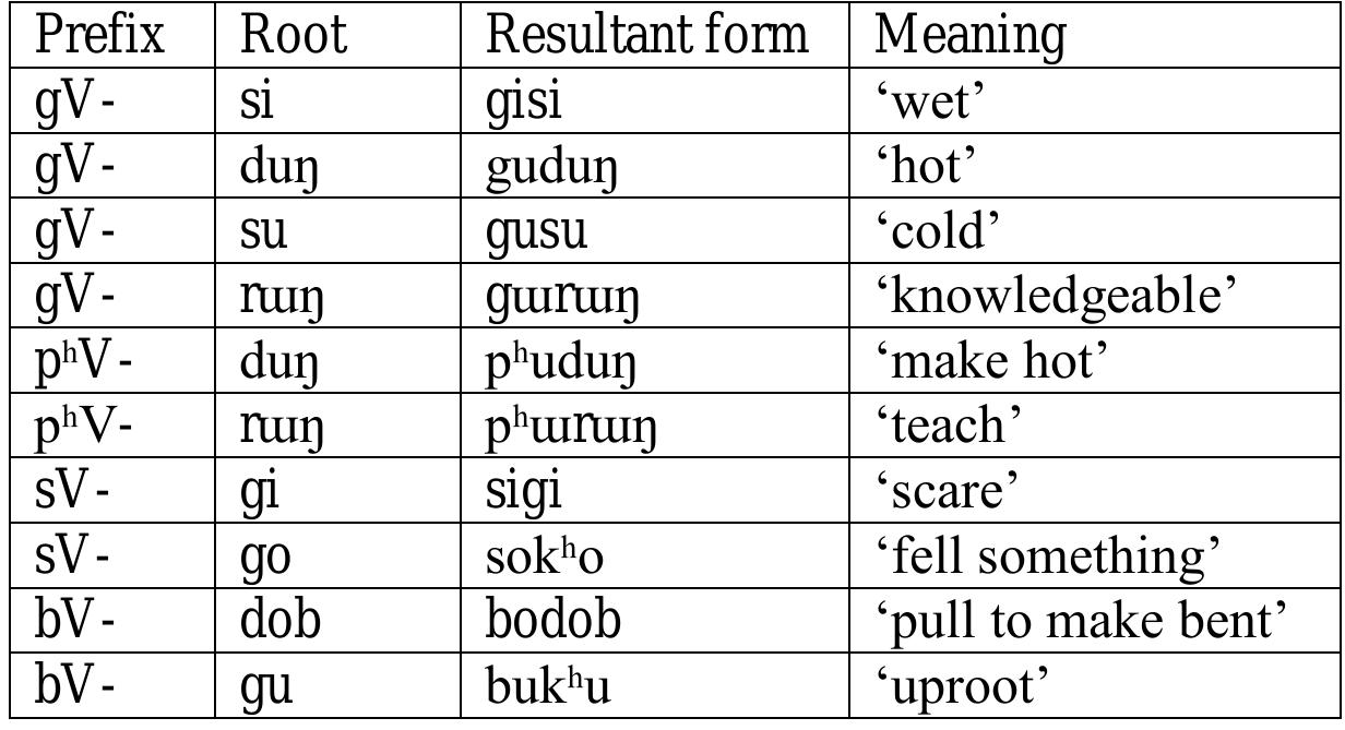 Table 11: Vowel harmony of Bodo prefixes  4 Tones  Certain prefixes, namely, adjectival /gV-/, causatives /p"V-, sV-, bV-/ are in harmony with the initial vowel of their roots as shown in table 11.  3.4 Vowel harmony 