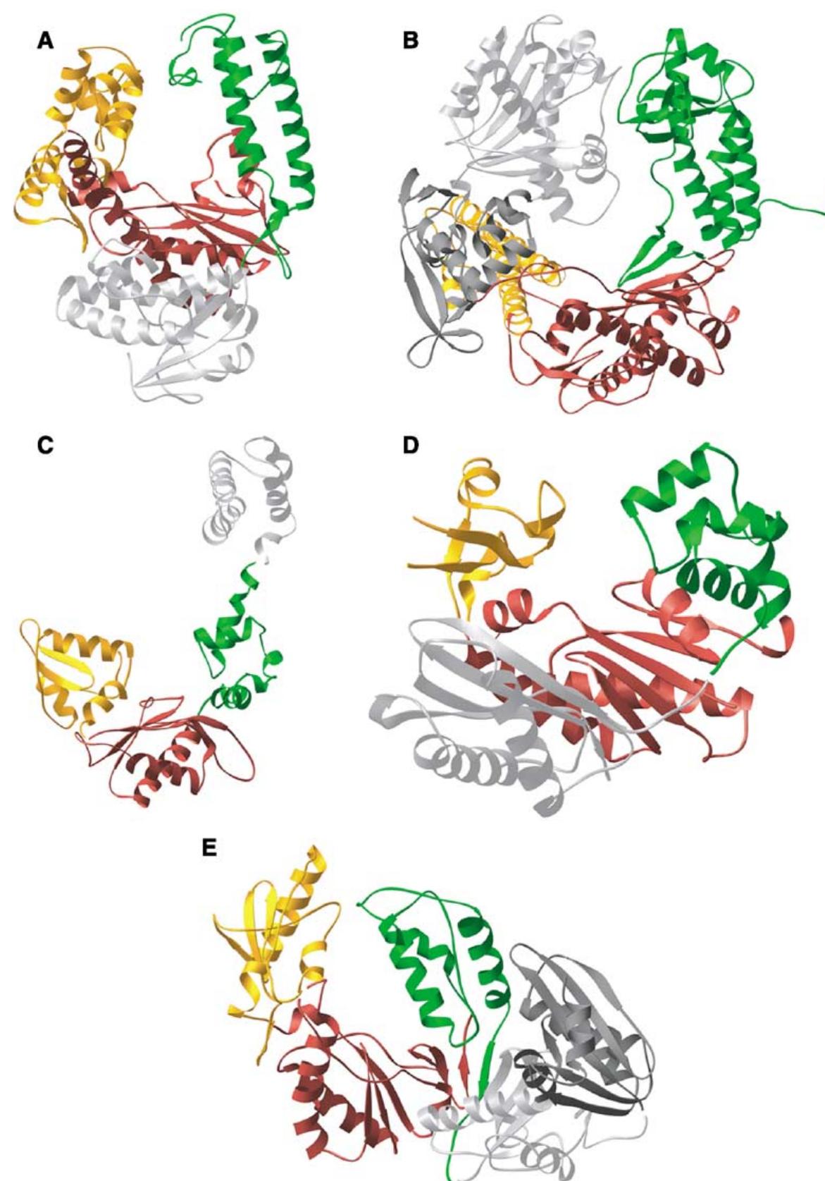 (PDF) Structure and mechanism of DNA polymerases