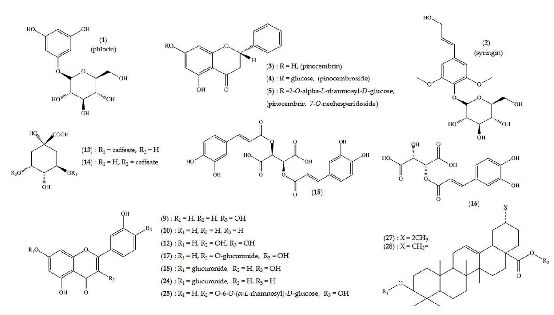 Chemical structures of the main secondary metabolites