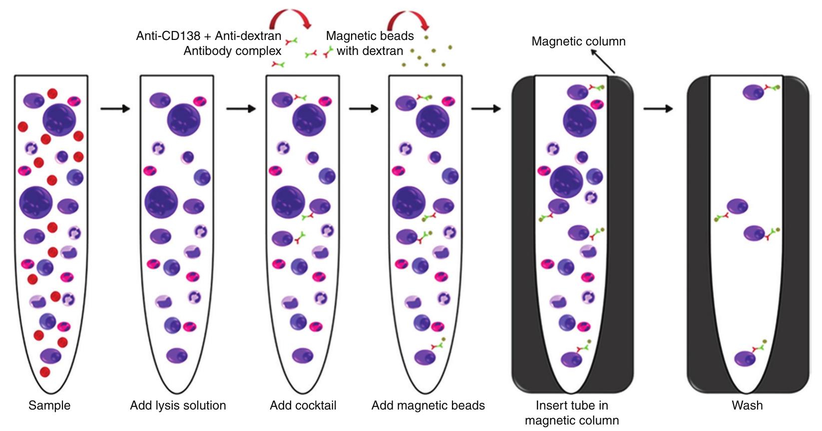Figure 1 - from Validation of interphase fluorescence in