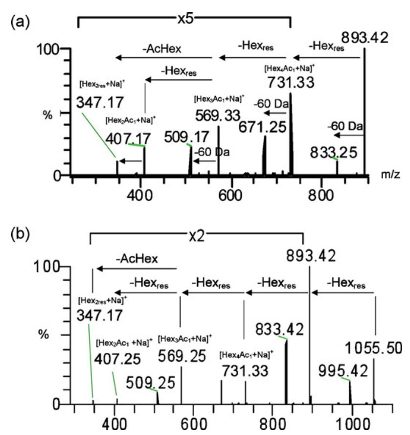 Esi-ms/ms spectra of [m+na]* adducts and schematic
