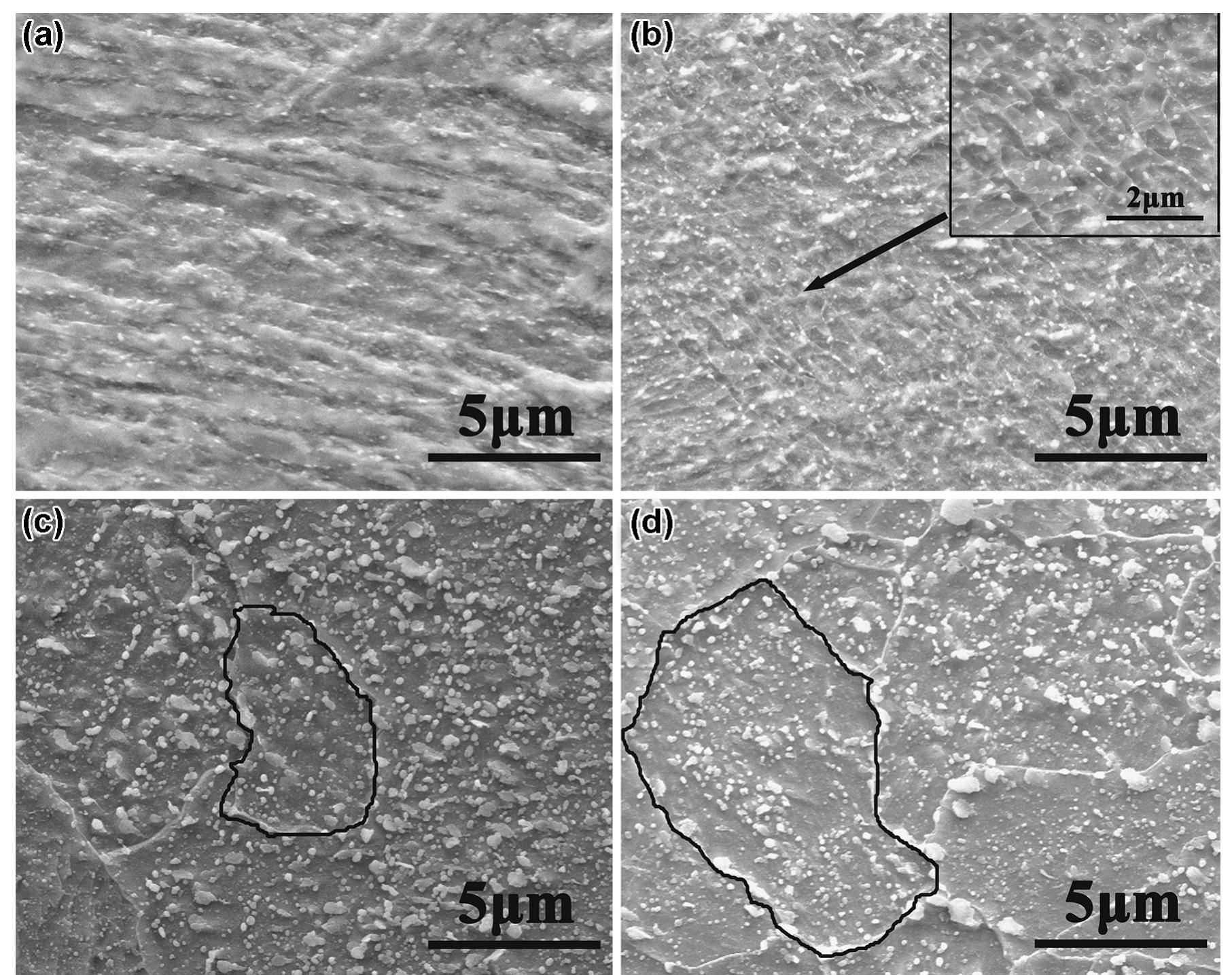 (PDF) Effect of annealing on microstructure and mechanical property of ...