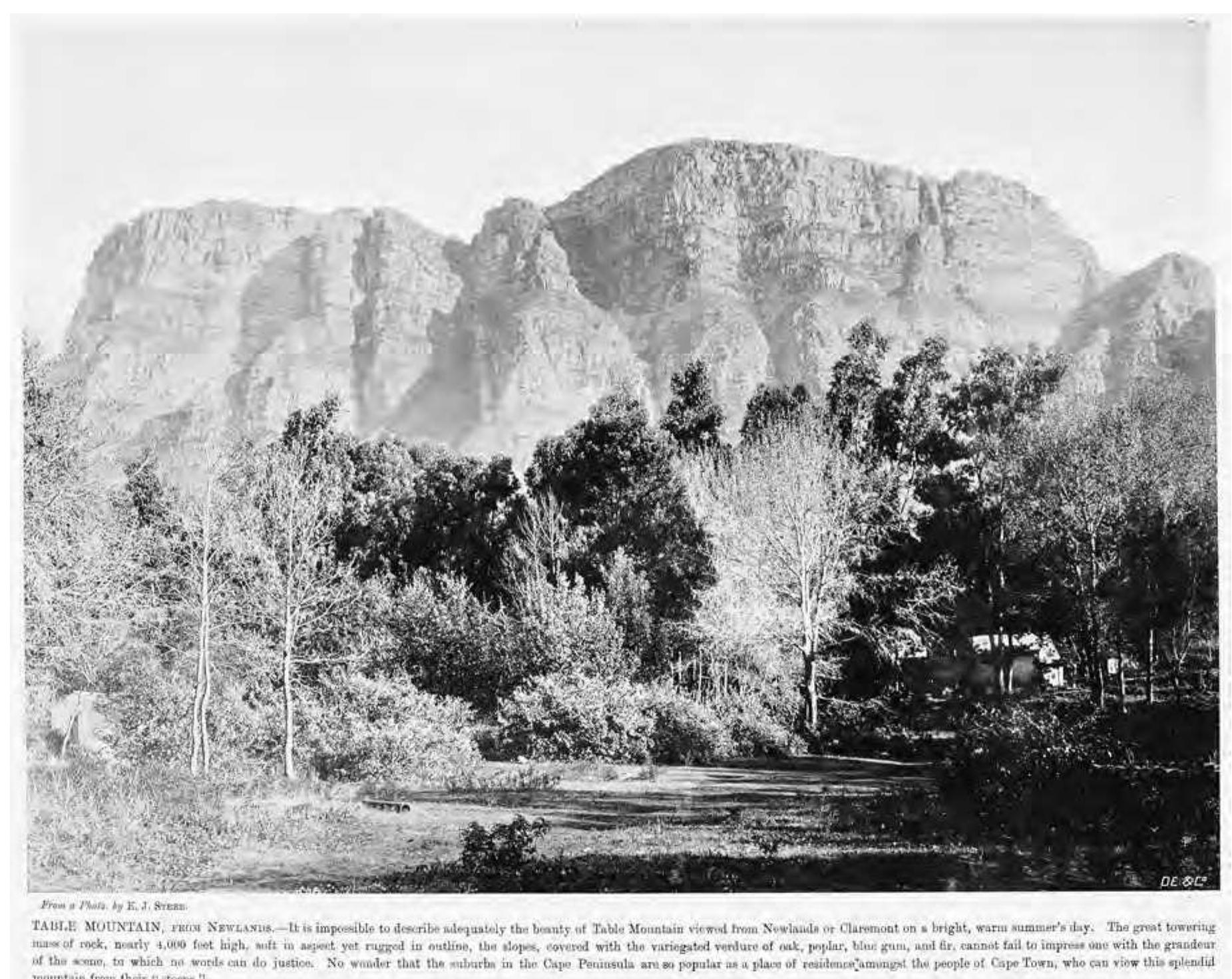 capitalized on bucolic and historic rural landscapes and the almost universal attractions of elevation and microclimate. Table Mountain’s eastern face, while not as striking as the north, is better watered and protected from the harsh western sun and the southeaster.* Always deemed more “beautiful” and “picturesque,” it came to seem especially so in the late nineteenth century, when the enclosure of private and public lands accelerated and the colonial-era farms and country estates along the Liesbeeck River were being subdi- vided into the suburbs of Rosebank, Rondebosch, Newlands, and Claremont. 