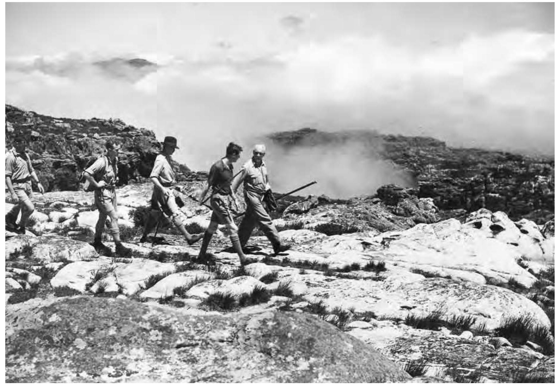 mountain by the colonial and municipal governments, which made access easier.” Local mountaineering and botanical research were also linked; the explosion of knowledge about Cape flora in the early 1900s depended on the expansion of hiking and mountain- eering because many rarer endemic species were only found in inaccessible mountainous parts of the region. It is no surprise, then, that South African alpinism began in Cape Town,” nor that hundreds of routes up Table Mountain are recognized today.  FIGURE 14.15  PIGUIE 145  General Jan Smuts and Britain’s Prince George walking on Table Mountain, 1934.  Photograph courtesy of Cape Archive, South African National Archives and  Records Service SAB #8659.  General Jan Smuts and Britain’s Prince George walking on Table Mountain, 1934.  about Cape flora in the early 1900s depended on the expansion of hiking and mountain- 