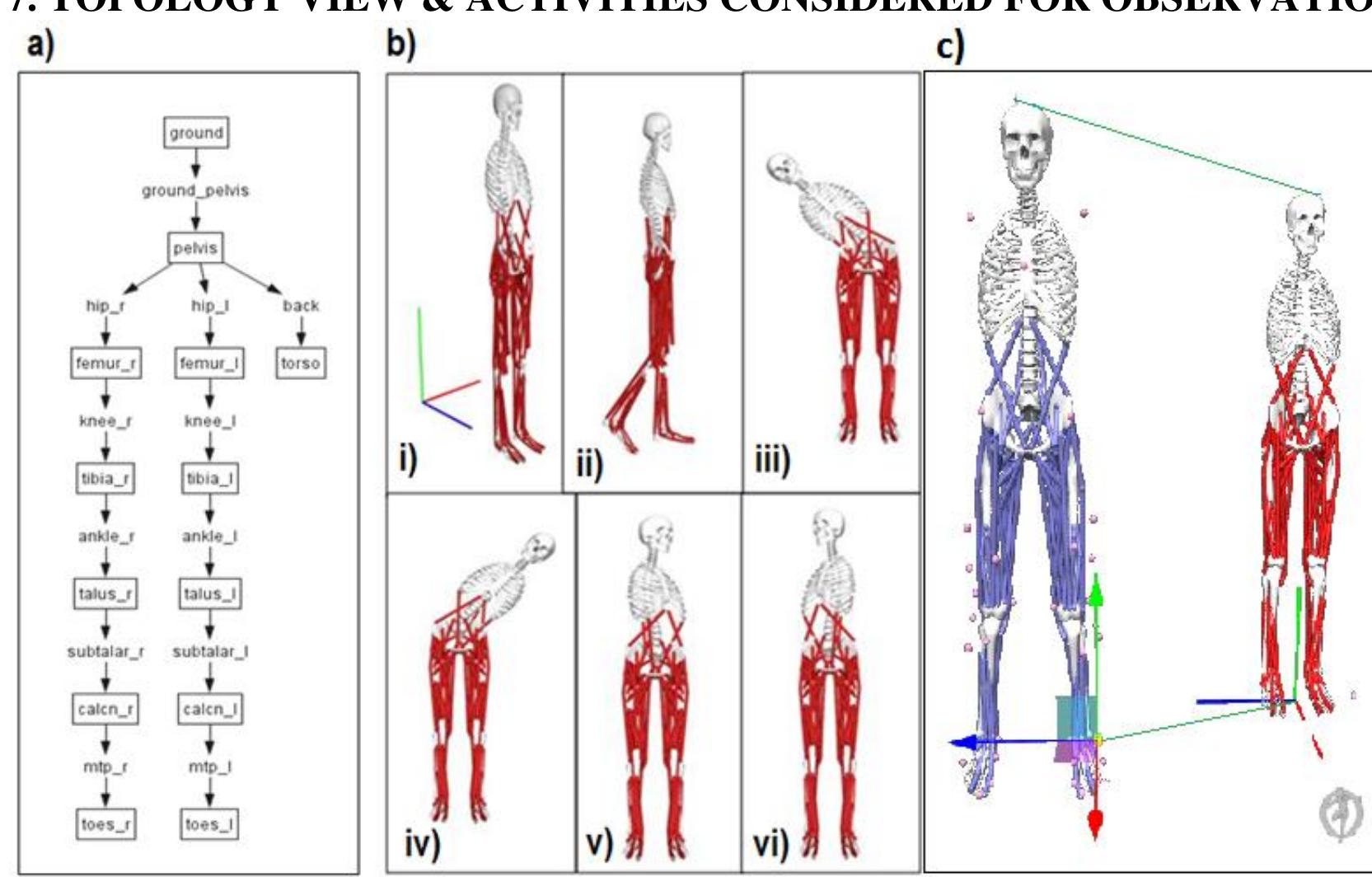 Opensim Inverse Kinematics a) topology view of the model; b) opensim model gait239