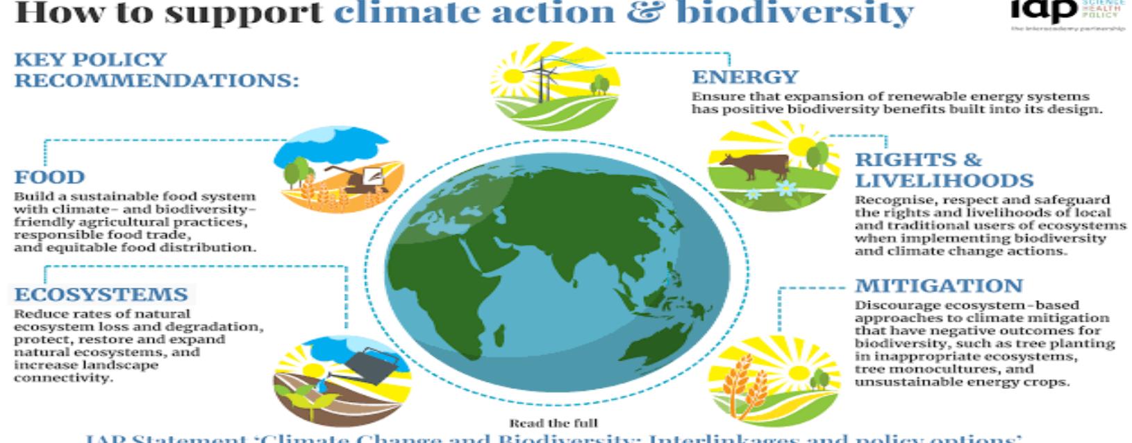 (PDF) Impact of Climate Change on Biodiversity and Ecosystems Services