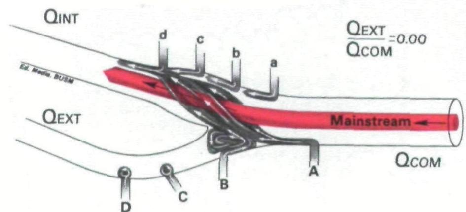 Figure 4 - from Flow studies in a model carotid bifurcation